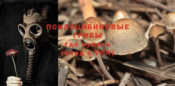 дурь Алексеевка