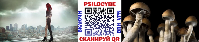 Галлюциногенные грибы Psilocybe  хочу наркоту  Солнечногорск 