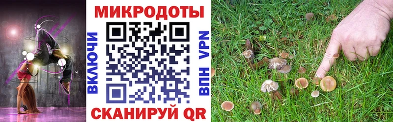 Галлюциногенные грибы MAGIC MUSHROOMS Солнечногорск