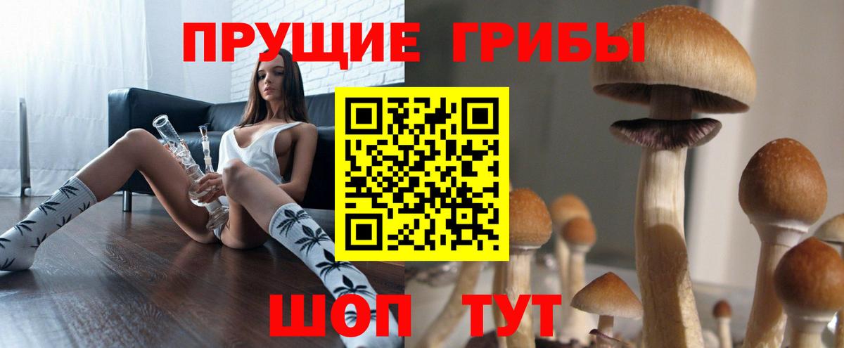 Галлюциногенные грибы Psilocybe Солнечногорск