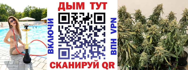 цены   Солнечногорск  KRAKEN ссылка  Конопля индика 